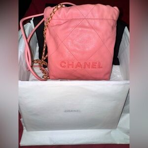 Chanel Pink on pink 22 bag